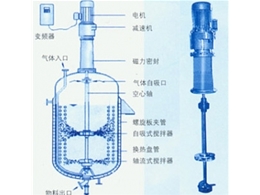 FCH自吸式磁力搅拌器